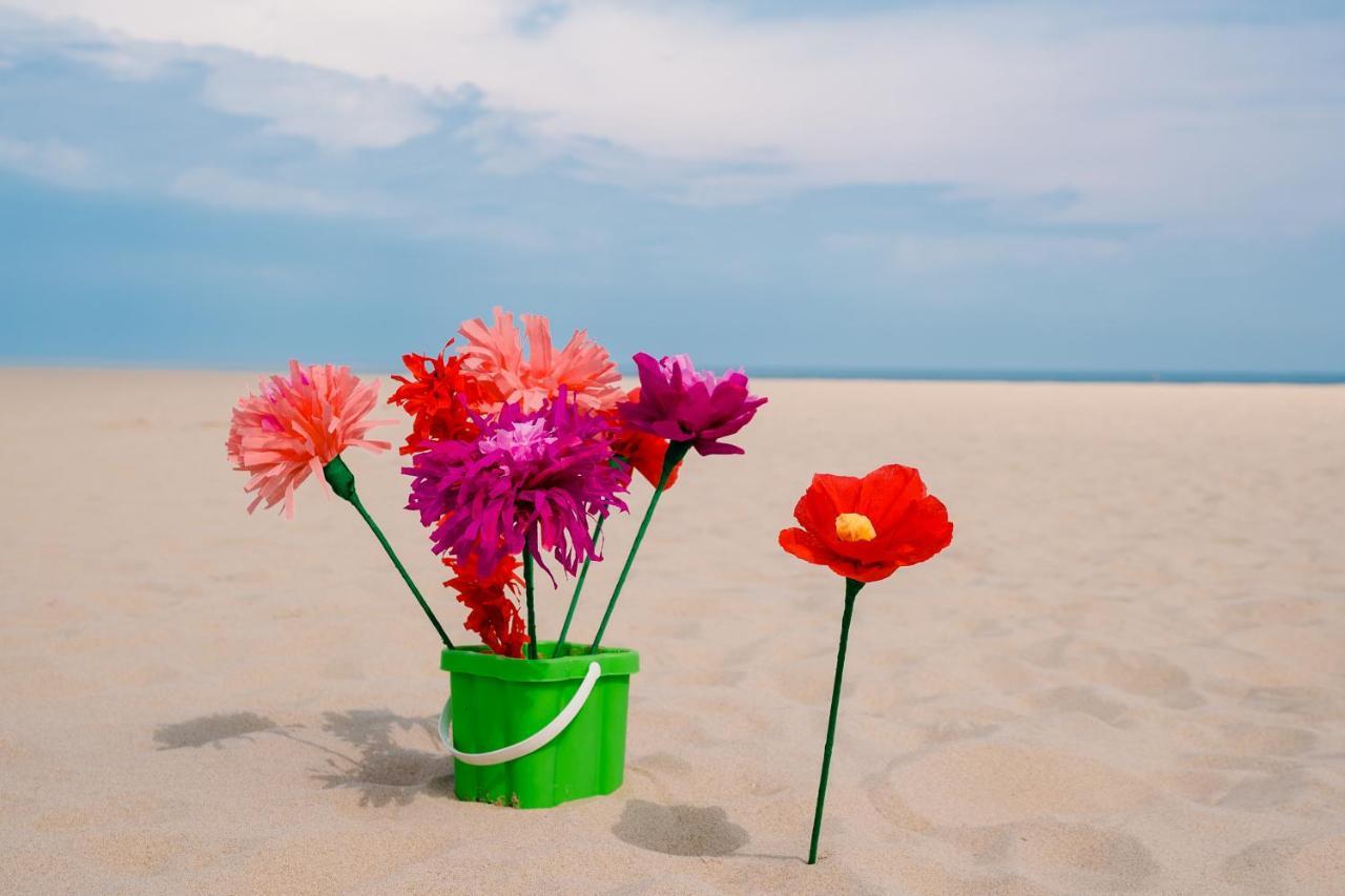 Bartine - Modern And Spacious Flat Near The Sea, Free Parking Space Ostend Luaran gambar
